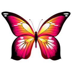 beautiful pink butterflies, isolated  on a white