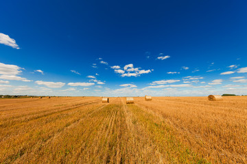 Fototapeta premium Wheat field after harvest with straw bales at sunset