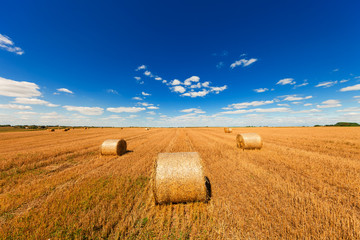 Fototapeta na wymiar Wheat field after harvest with straw bales at sunset