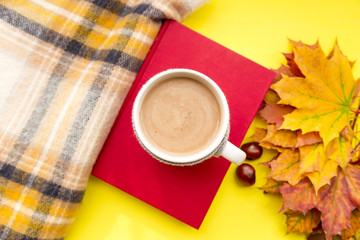 Autumn leaves, book, chestnut, scarf and cup of hot chocolate. Fall season, leisure time and coffee break concept.