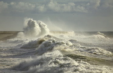 Big waves splash