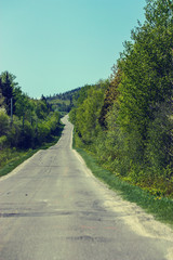 long empty road going into the forest