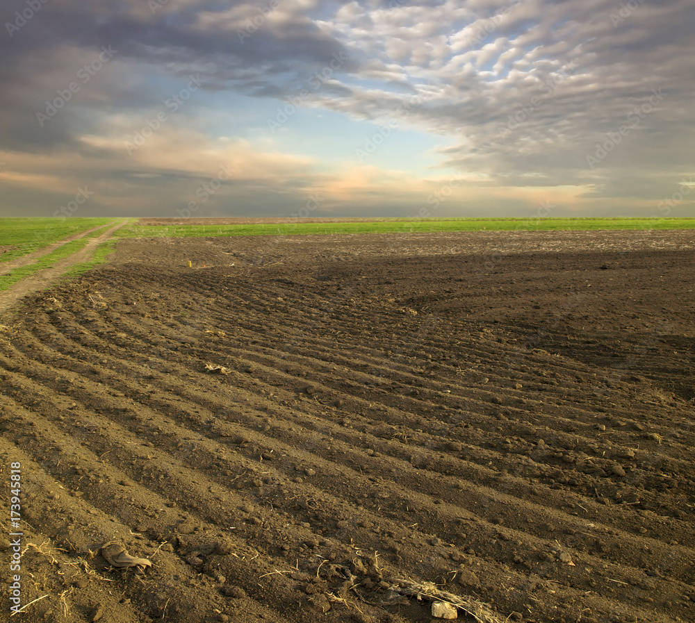 Sticker arable land and clouds