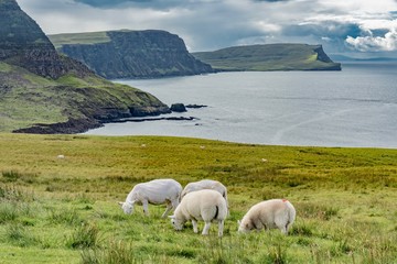 Obraz premium On the road, Isle of Skye, Scotland, United Kingdom
