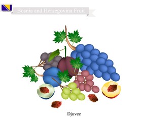 Plum and Grape, The Popular Fruit in Bosnia and Herzegovina