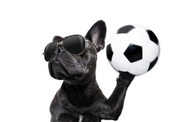 soccer player dog © Javier brosch