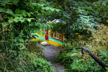 colorful house facade hidden in the forest