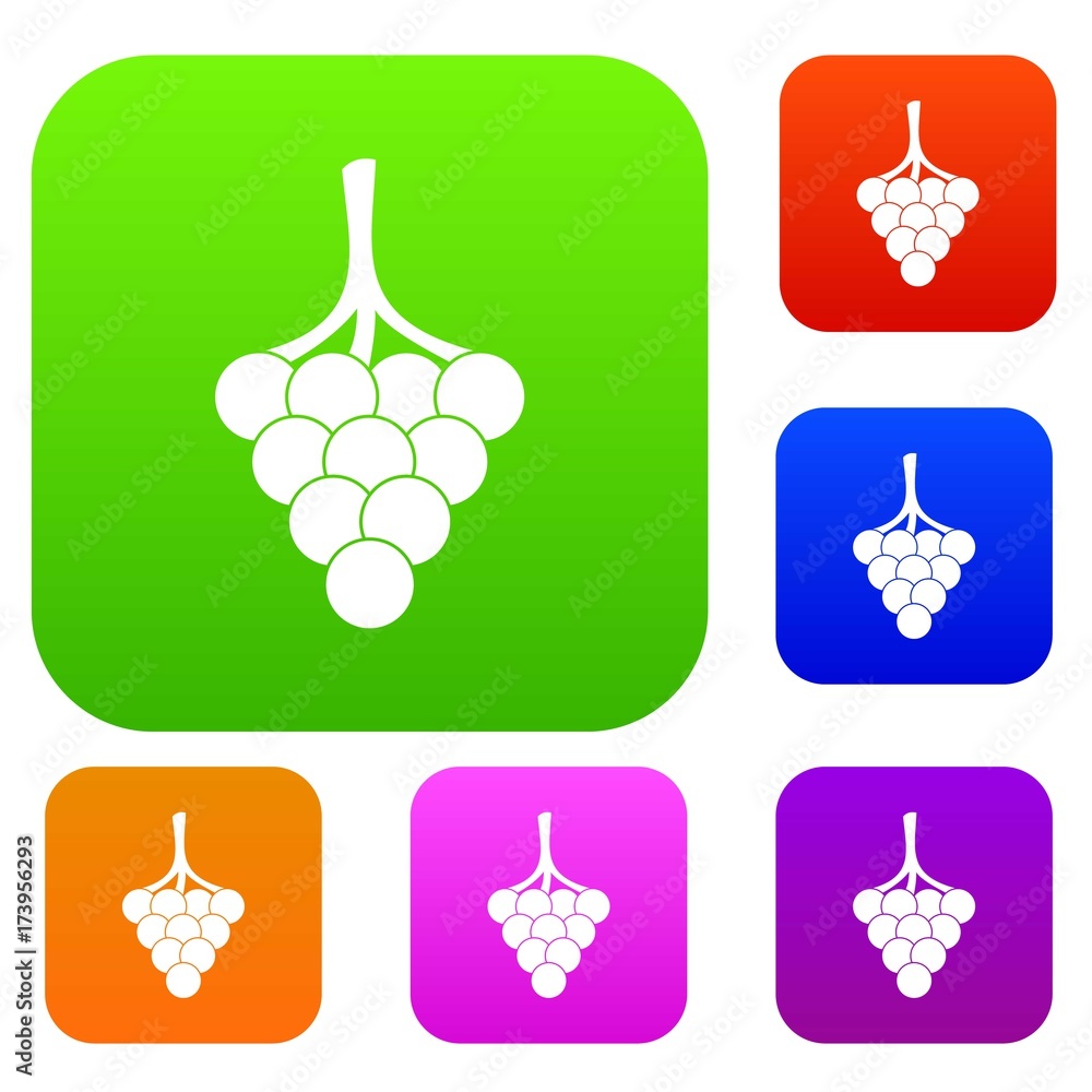Poster grapes on the branch set color collection