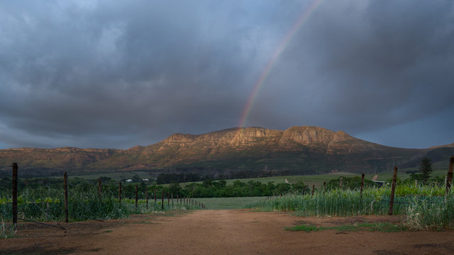 Groot Constantia