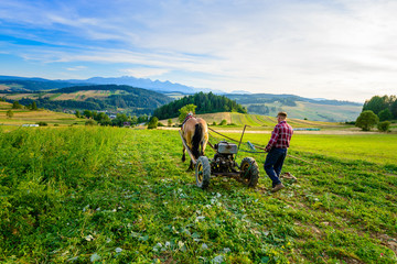 Farmer cultivates the soil with a horse in a mountainous area