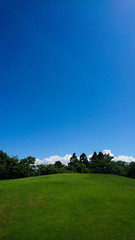 Fototapeta premium 青空の下の公園にある丸い広場と木