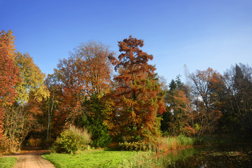 Fototapeta premium Landschaft 479