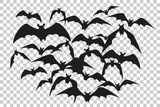 Black silhouette of flock of bats. Bunch of bats isolated on transparent background. Halloween traditional design element. Vector illustration