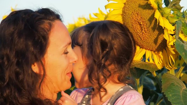 Happy family in sunflowers. Mom and her child rub their noses.