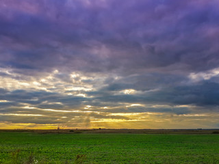 Beautiful sunset cloudy blue sky with golden sunrays and green field