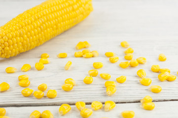 Scattered boiled grain of yellow ripe corn beside whole corn on old rural white wooden planks