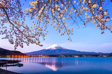 Gardinen Mt. Fuji, Japan in Spring on Lake Kawaguchi. © SeanPavonePhoto