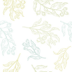 Naklejka premium Eucalyptus graphic color seamless pattern sketch illustration vector
