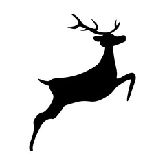 Reindeer isolated on white background 