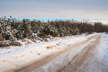 Beautiful winter landscape. Morning sunrise, evening sunset. Nature of Saratov, Russia in winter. Snow-covered motor road with trees on the roadside.