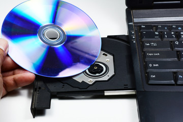 a hand insert the DVD disc in tray of notebook computer