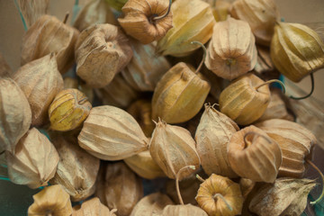 Close up of a bowl of phialis. Copy space. Shallow dept of field.