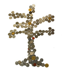 the tree of coins,stack of coins on white background isolated
