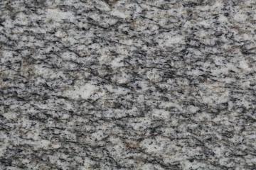 Polished Surface of a Paragneiss