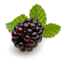 Blackberry