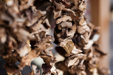 Dried mushrooms on a string