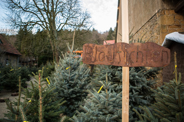Weihnachtsbaum Markt zum Kauf Verkauf / Nordmanntanne, Blaufichte, Rotfichte, Edeltanne