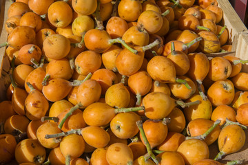 Italy,Sicily; fruits; medlar fruits.