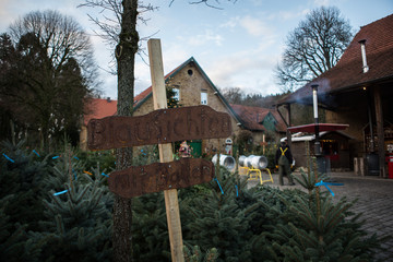 Weihnachtsbaum Markt zum Kauf Verkauf / Nordmanntanne, Blaufichte, Rotfichte, Edeltanne