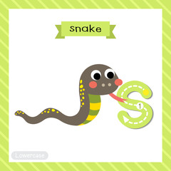Letter S lowercase cute children colorful zoo and animals ABC alphabet tracing flashcard of Snake for kids learning English vocabulary and handwriting vector illustration.