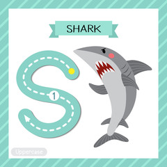 Letter S uppercase cute children colorful zoo and animals ABC alphabet tracing flashcard of Angry Shark for kids learning English vocabulary and handwriting vector illustration.