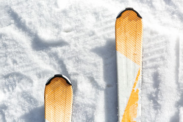  ski in the snow