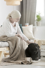 Sick woman stroking dog assistant - obrazy, fototapety, plakaty