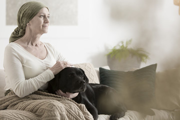 Grandmother and dog on sofa - obrazy, fototapety, plakaty