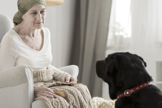 Elderly Woman And Black Dog