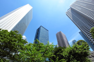 Fototapeta premium 緑の木々と高層ビル