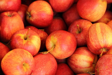 Fototapeta na wymiar rote Äpfel