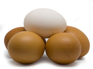 (Closeup)  Duck eggs and Chicken eggs.