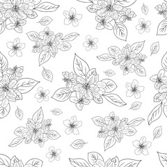 Apple flower blossom hand drawn isolated on white background, seamless vector floral pattern, pink sakura outline art for greeting card, package design cosmetic, wedding invitation, wallpaper beauty