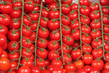 Bright tomatoes cherry