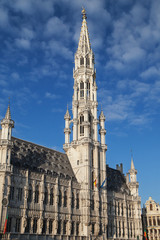 Fototapeta na wymiar Brussels Town Hall