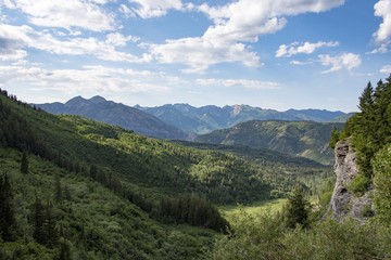 Fototapeta na wymiar Rocky Mountain Wilderness