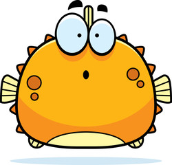 Surprised Little Blowfish © corythoman