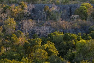 Kalksteinformation im Nationalpark Tsingy de Bemaraha