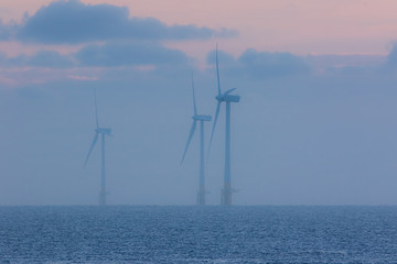 Tranquil environment scene at sea. Offshore wind farm turbines on a misty morning at sunrise