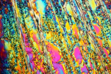 Ice under the microscope